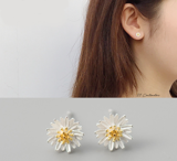 Khuyên tai Daisy