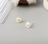 Khuyên tai Daisy
